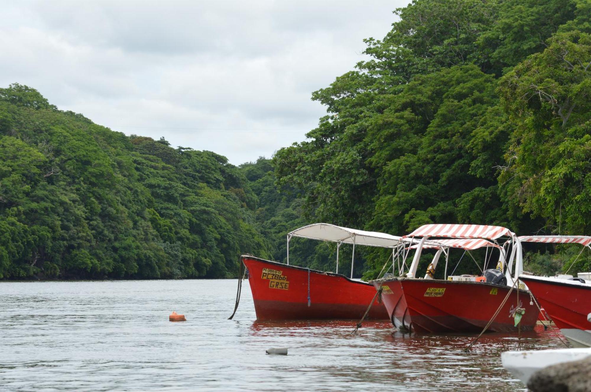 Riverside Holiday Home Grand River South East Ngoại thất bức ảnh